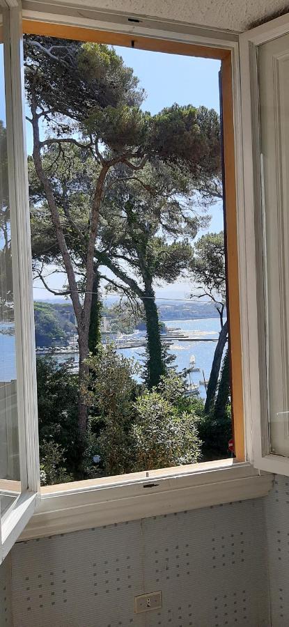 Villa Violetta Castiglioncello Extérieur photo