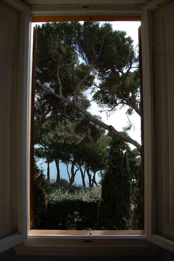 Villa Violetta Castiglioncello Extérieur photo